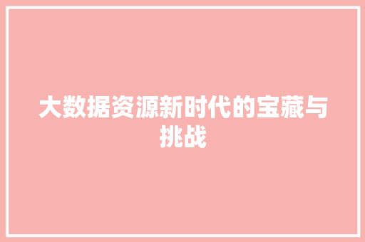 大数据资源新时代的宝藏与挑战