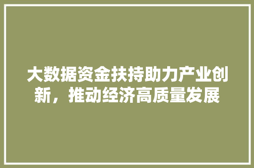 大数据资金扶持助力产业创新,推动经济高质量发展 大数据资金扶持助力产业创新,推动经济高质量发展