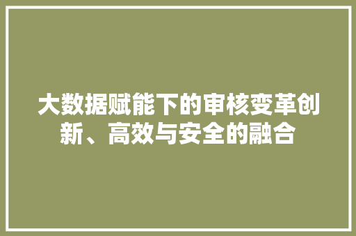 大数据赋能下的审核变革创新、高效与安全的融合