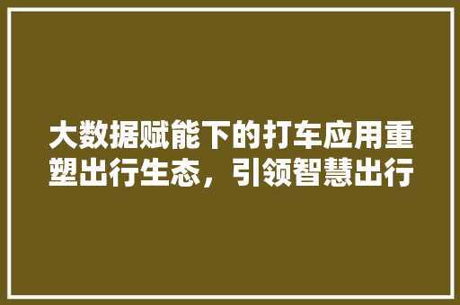 大数据赋能下的打车应用重塑出行生态，引领智慧出行新时代