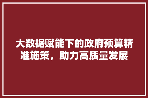 大数据赋能下的政府预算精准施策，助力高质量发展