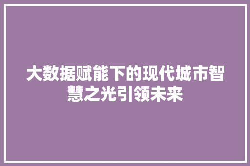 大数据赋能下的现代城市智慧之光引领未来