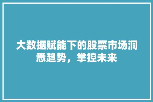 大数据赋能下的股票市场洞悉趋势，掌控未来
