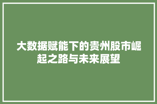 大数据赋能下的贵州股市崛起之路与未来展望