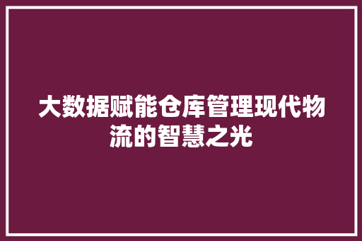 大数据赋能仓库管理现代物流的智慧之光