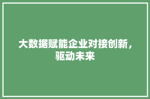 大数据赋能企业对接创新，驱动未来