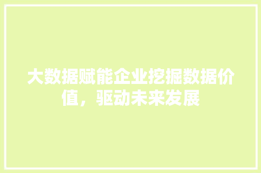 大数据赋能企业挖掘数据价值，驱动未来发展