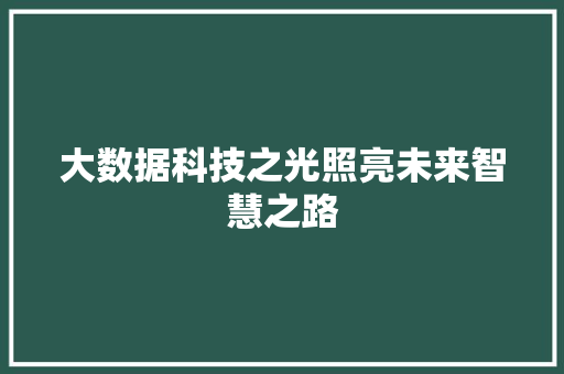 大数据科技之光照亮未来智慧之路