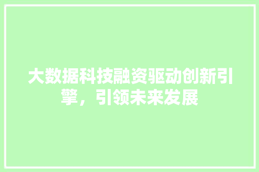 大数据科技融资驱动创新引擎，引领未来发展