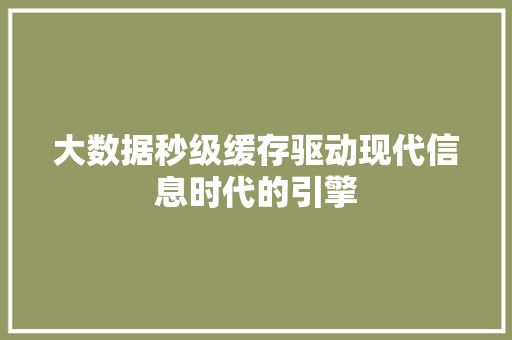 大数据秒级缓存驱动现代信息时代的引擎