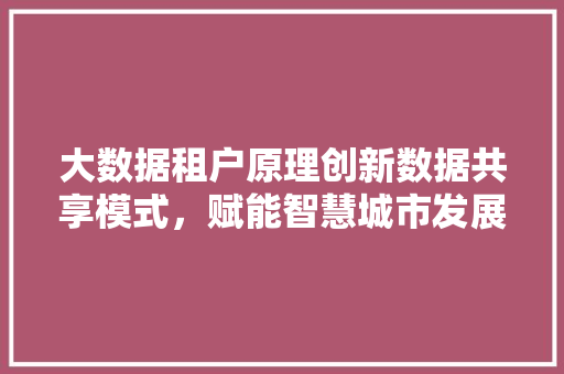 大数据租户原理创新数据共享模式，赋能智慧城市发展
