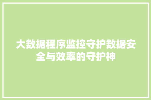 大数据程序监控守护数据安全与效率的守护神