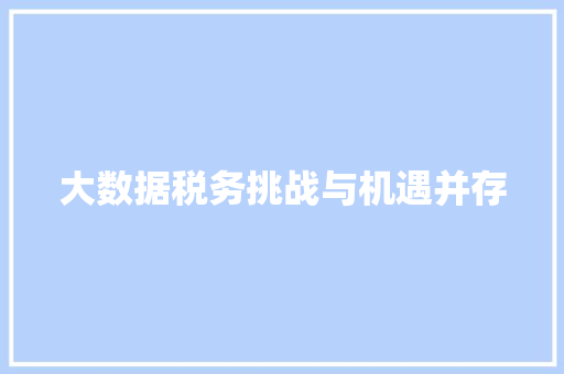 大数据税务挑战与机遇并存