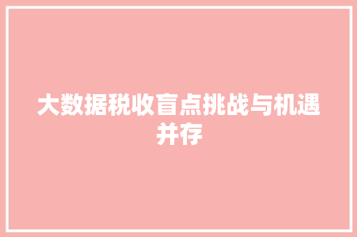 大数据税收盲点挑战与机遇并存