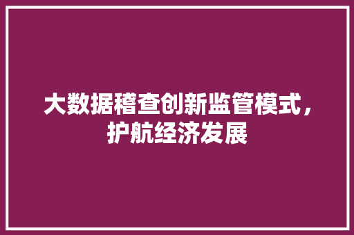 大数据稽查创新监管模式，护航经济发展