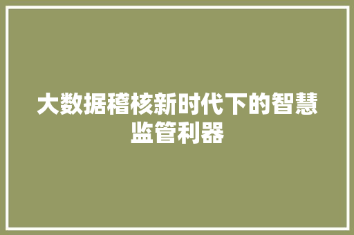 大数据稽核新时代下的智慧监管利器