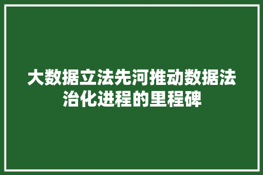 大数据立法先河推动数据法治化进程的里程碑