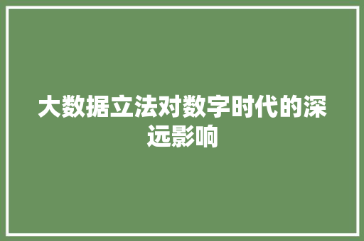 大数据立法对数字时代的深远影响