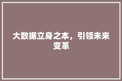 大数据立身之本，引领未来变革