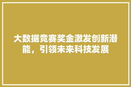 大数据竞赛奖金激发创新潜能，引领未来科技发展