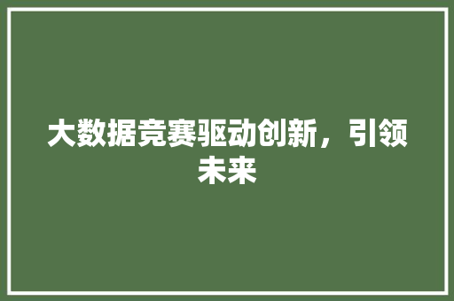 大数据竞赛驱动创新，引领未来 建站教程