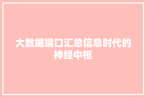 大数据端口汇总信息时代的神经中枢 友链在线