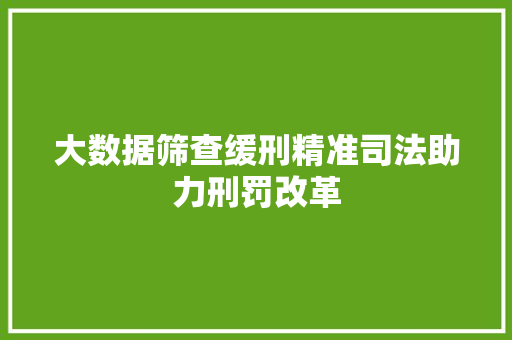 大数据筛查缓刑精准司法助力刑罚改革