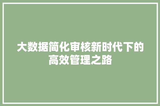 大数据简化审核新时代下的高效管理之路 WordPress教程