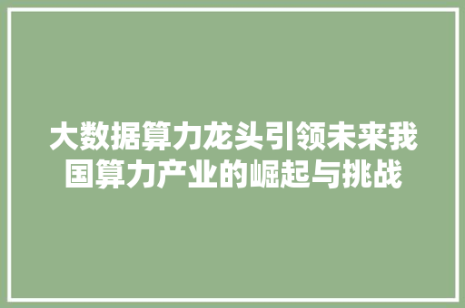 大数据算力龙头引领未来我国算力产业的崛起与挑战