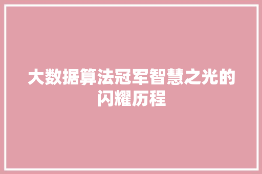 大数据算法冠军智慧之光的闪耀历程
