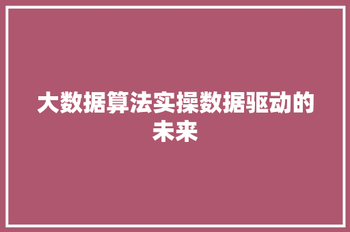 大数据算法实操数据驱动的未来 服务器/数据库