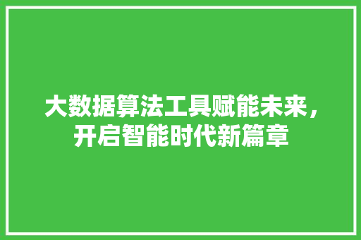 大数据算法工具赋能未来，开启智能时代新篇章