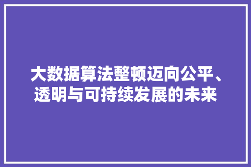 大数据算法整顿迈向公平、透明与可持续发展的未来