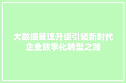大数据管理升级引领新时代企业数字化转型之路