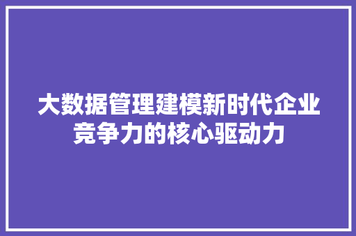 大数据管理建模新时代企业竞争力的核心驱动力