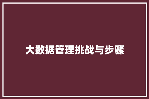 大数据管理挑战与步骤