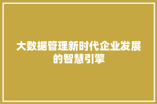 大数据管理新时代企业发展的智慧引擎