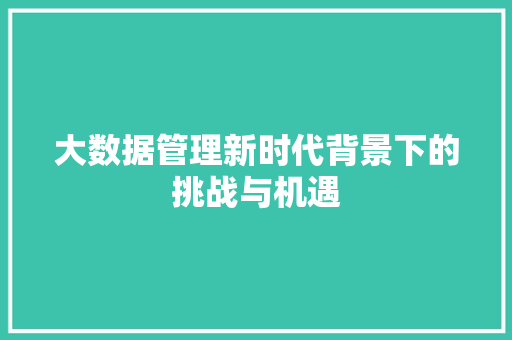 大数据管理新时代背景下的挑战与机遇