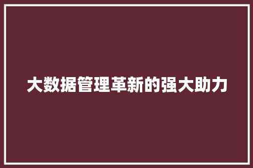 大数据管理革新的强大助力