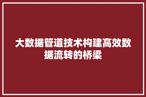 大数据管道技术构建高效数据流转的桥梁