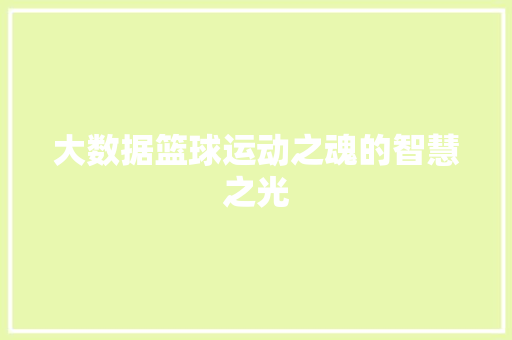 大数据篮球运动之魂的智慧之光