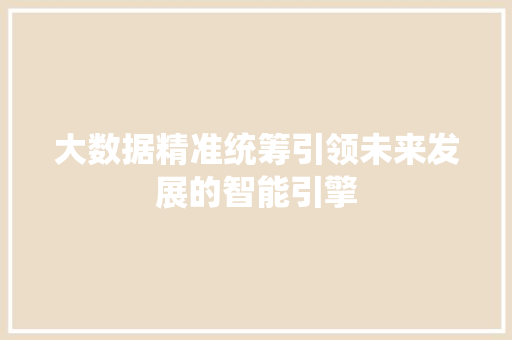 大数据精准统筹引领未来发展的智能引擎