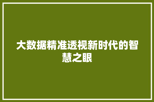 大数据精准透视新时代的智慧之眼