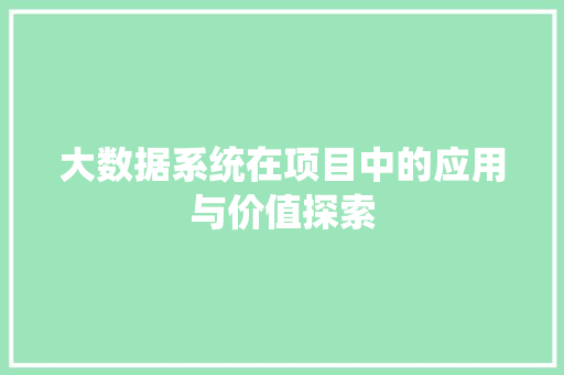 大数据系统在项目中的应用与价值探索