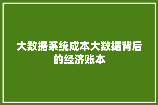 大数据系统成本大数据背后的经济账本