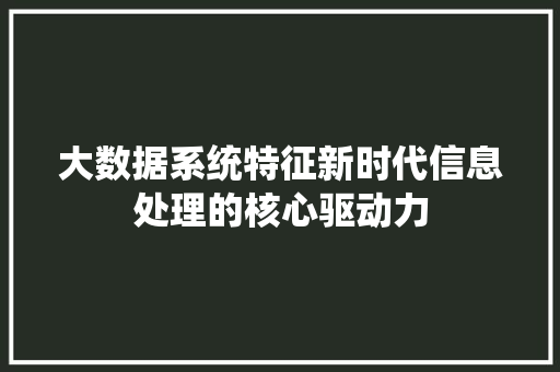 大数据系统特征新时代信息处理的核心驱动力