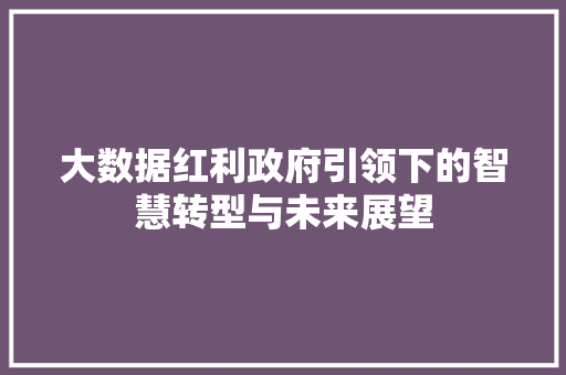 大数据红利政府引领下的智慧转型与未来展望