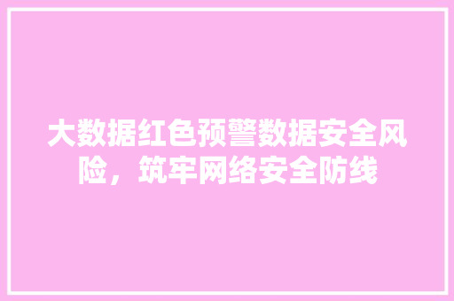 大数据红色预警数据安全风险，筑牢网络安全防线