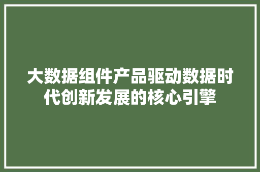大数据组件产品驱动数据时代创新发展的核心引擎
