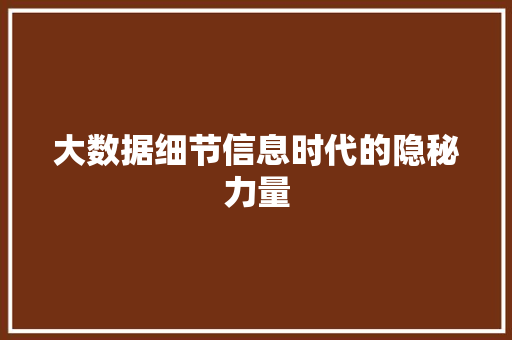 大数据细节信息时代的隐秘力量